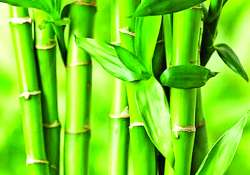 ဆောင်းပါး